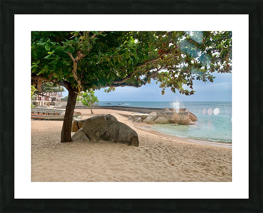 Tree on the Beach Picture Frame print