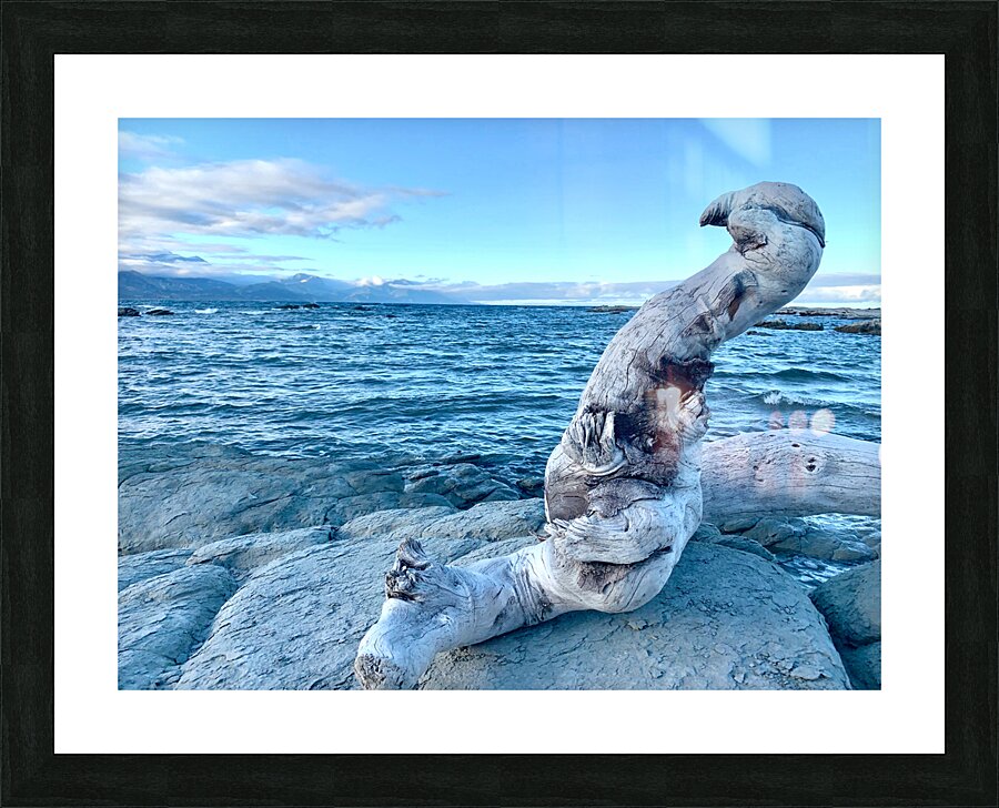 Bird Shaped Wood in Front of the Ocean Picture Frame print
