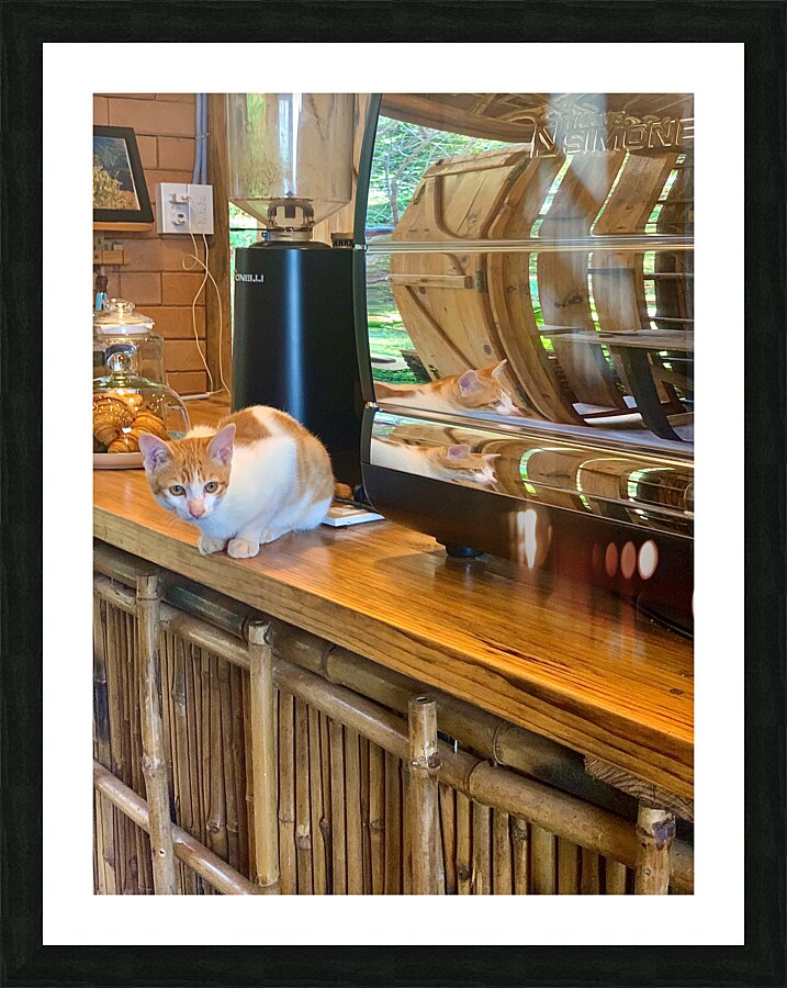 A Cat Named Cappucino Picture Frame print