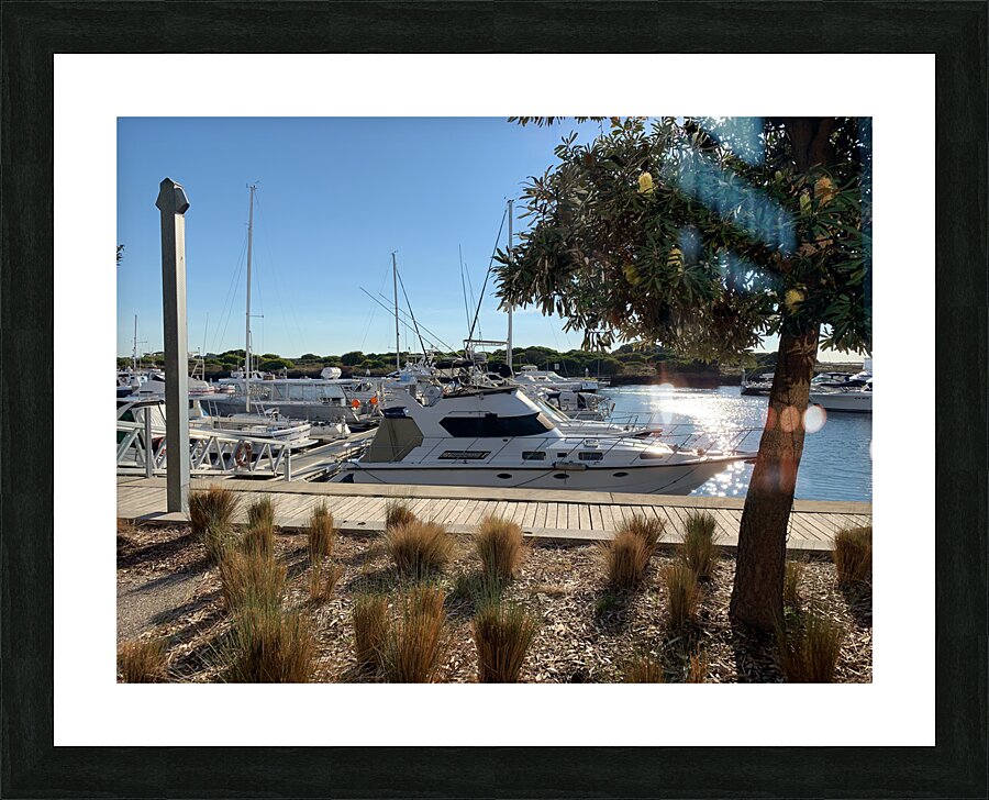 Boats at the Marina Picture Frame print