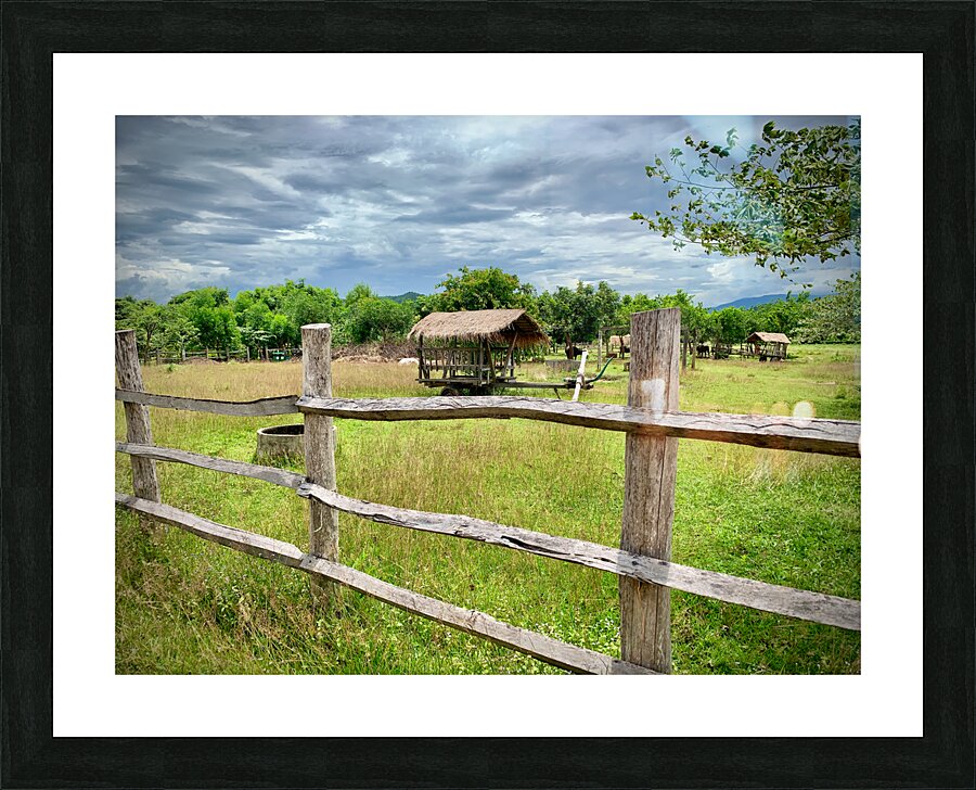 Looking at the Farm Picture Frame print
