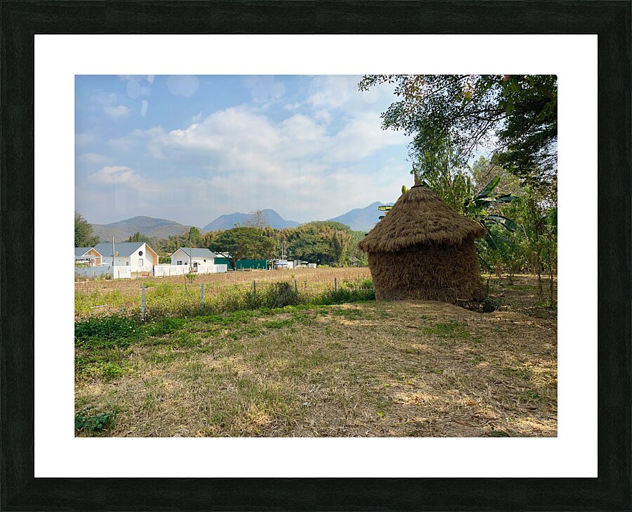 Last Straw Hut Standing Picture Frame print
