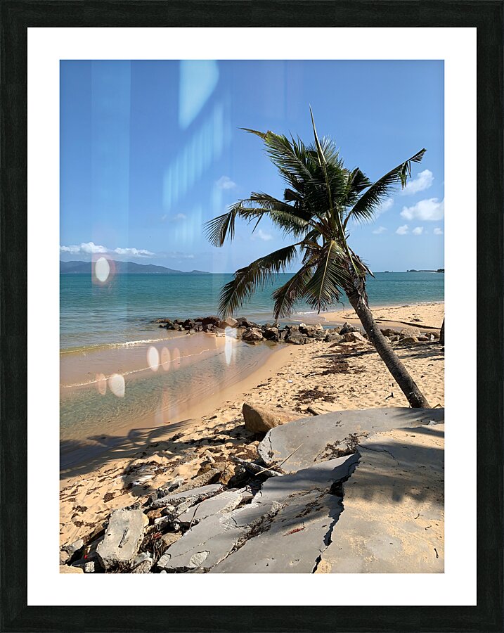 Mini Palm Tree Picture Frame print