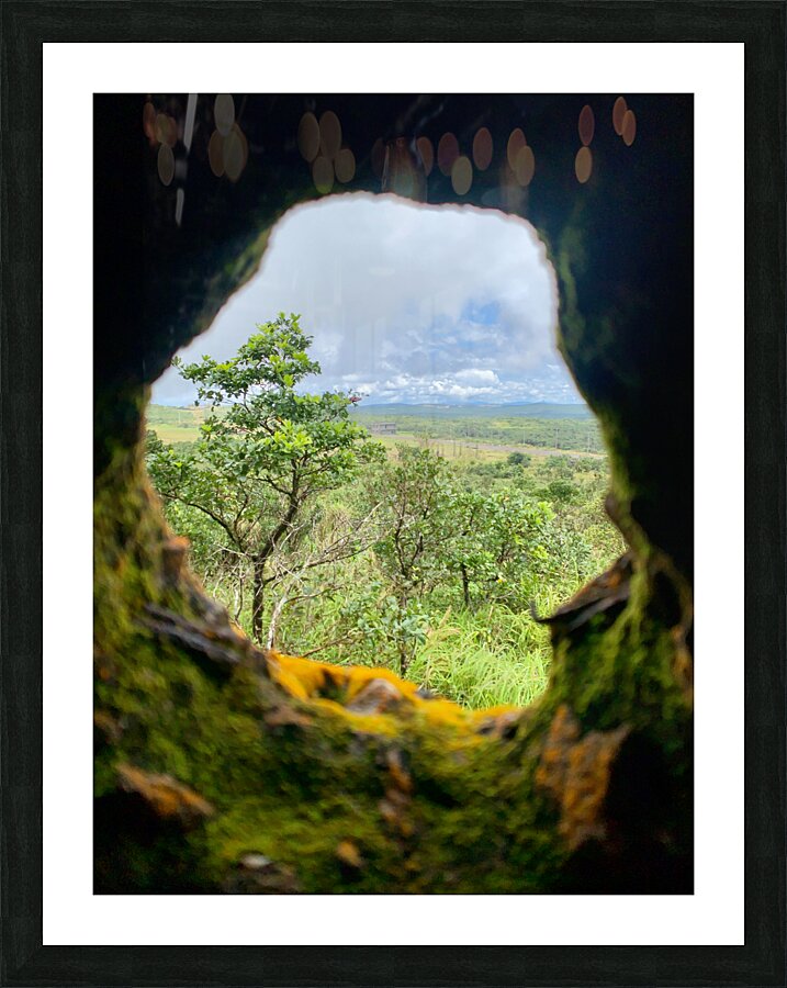 Nature Through the Hole Picture Frame print
