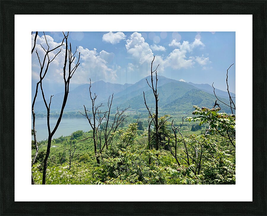 Mountains Behind the Branches Picture Frame print