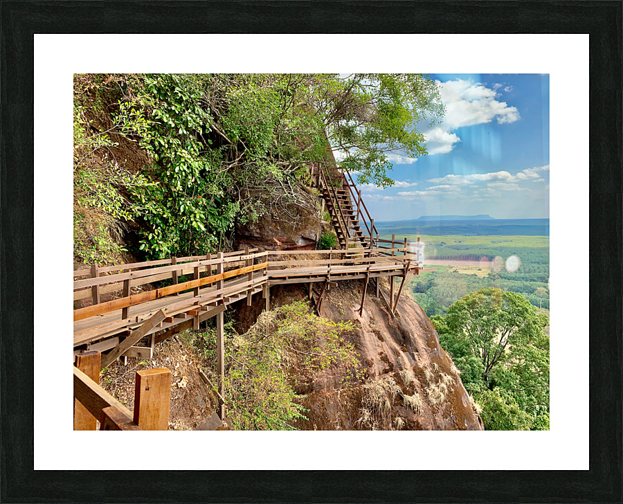 The Amazing Wat Phu Tok 3 Picture Frame print