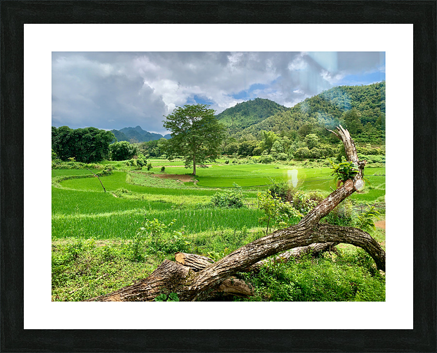 Beautiful Green Scenery Picture Frame print