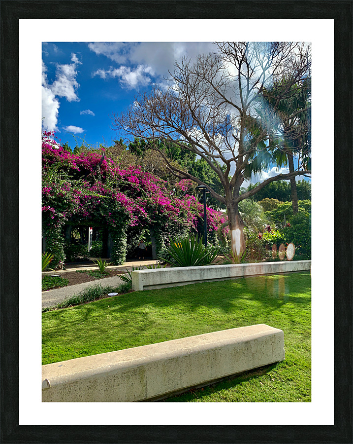 At the Park in Brisbane Picture Frame print
