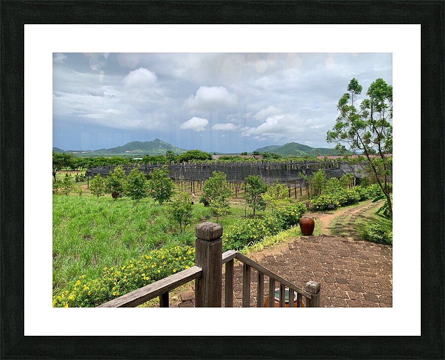 The Pepper Plantations Picture Frame print