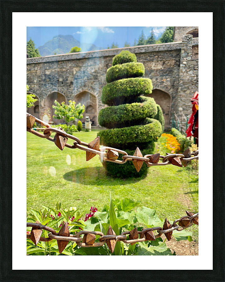 Spiral Tree Picture Frame print