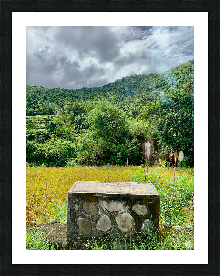 Block on Nature Picture Frame print