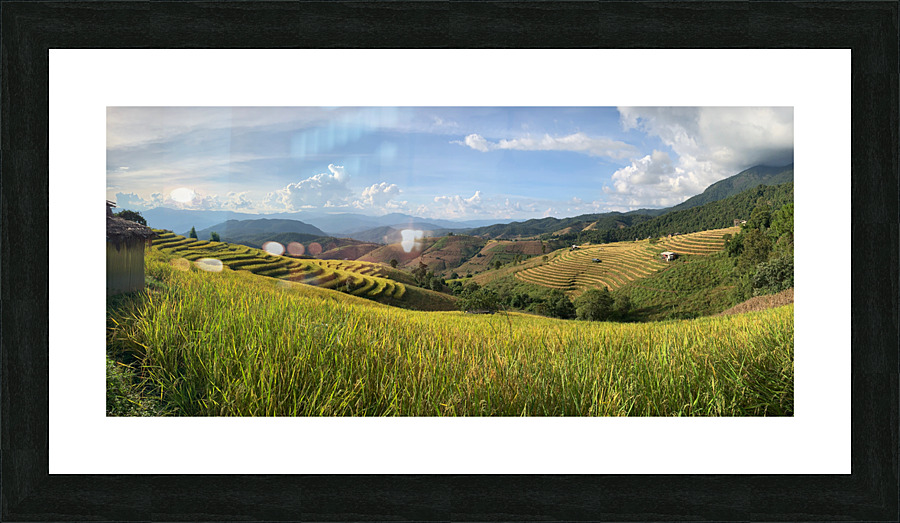 Beautiful Rice Field 2 Picture Frame print
