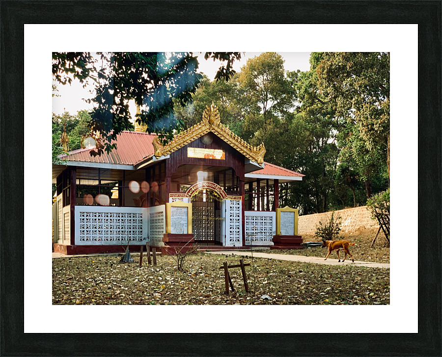 Dog Going to Temple Picture Frame print