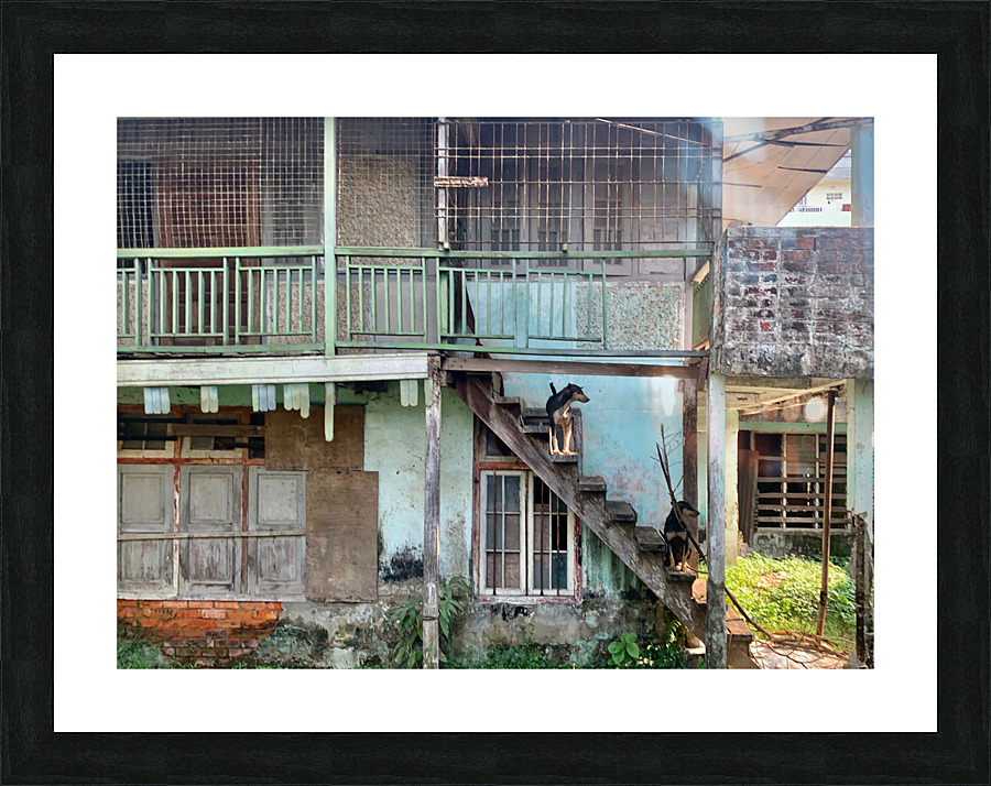 Dogs looking Left Picture Frame print