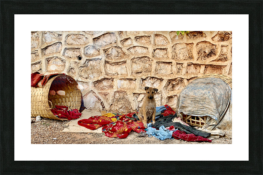 Dog Taking Over a Shop Picture Frame print