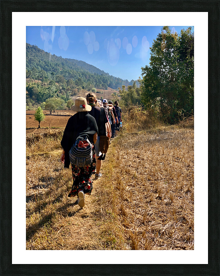 Follow the Path Picture Frame print