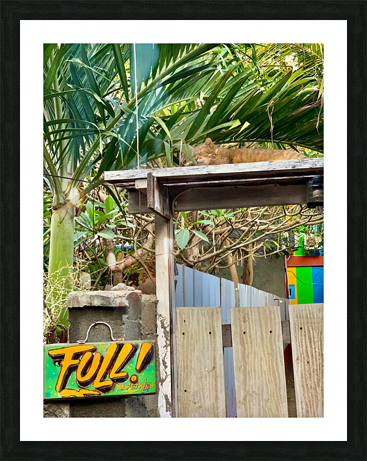 Full House Kitty Cat Picture Frame print