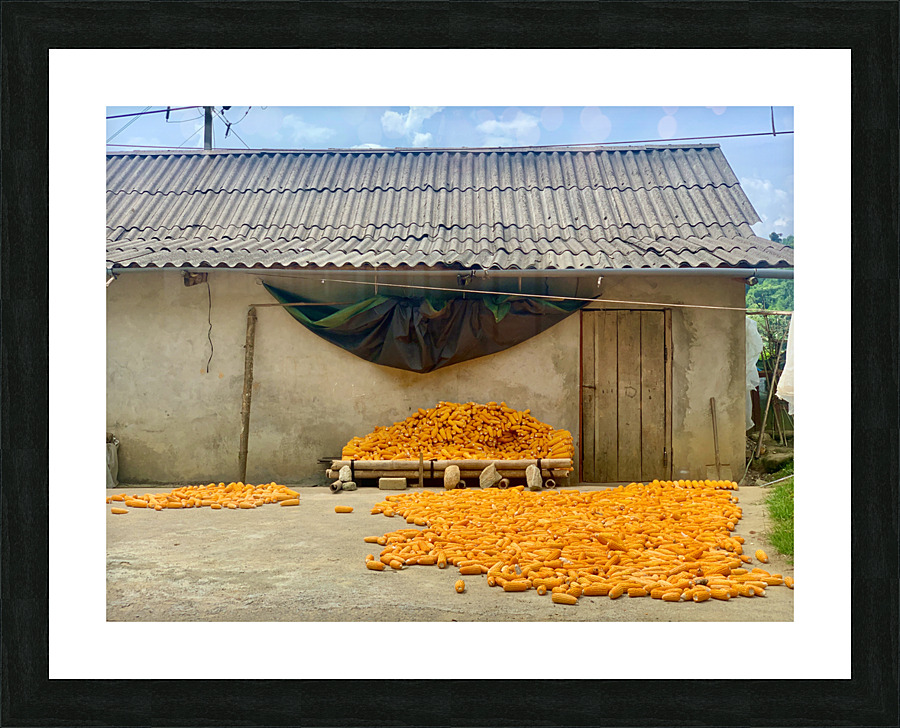 Dry Corn House Picture Frame print