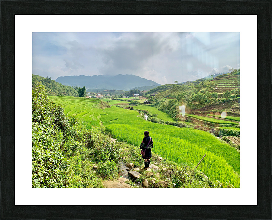 Looking Over the Rice Fields Picture Frame print