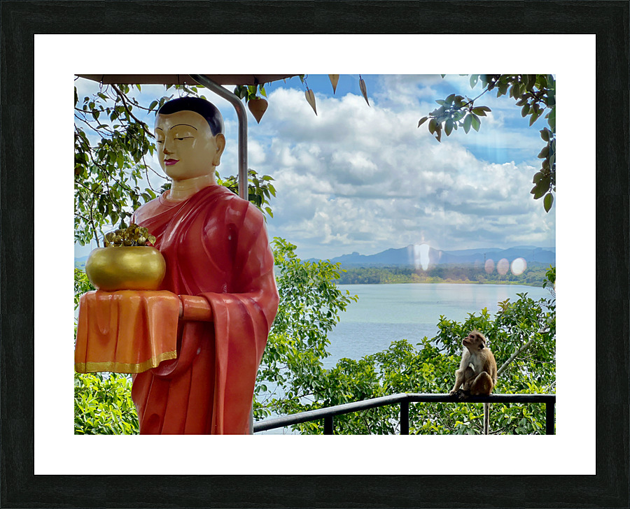 The Monkey and the Monk Picture Frame print