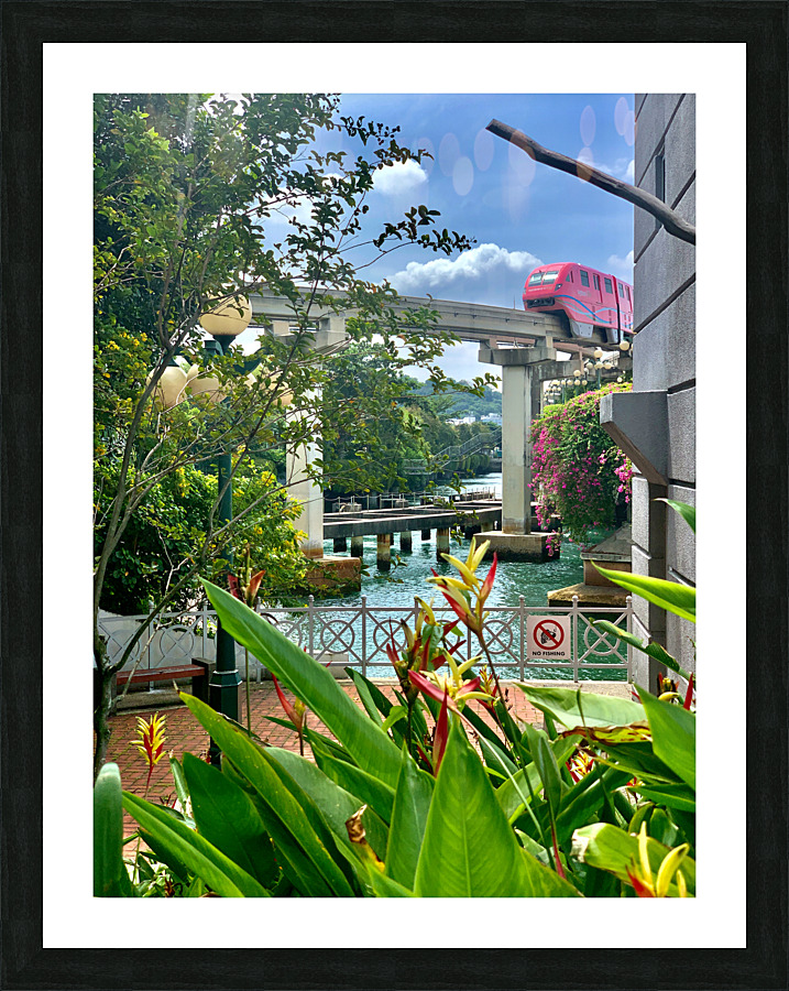 The Pink Train Picture Frame print