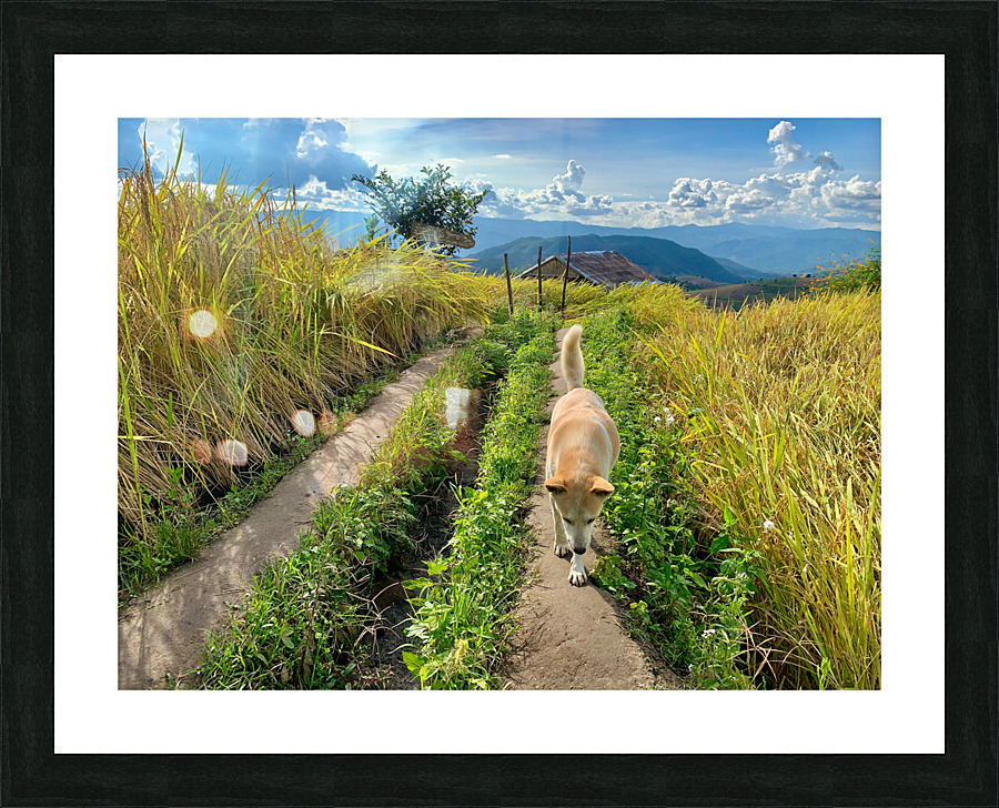 Vagabond Dog Impression et Cadre photo