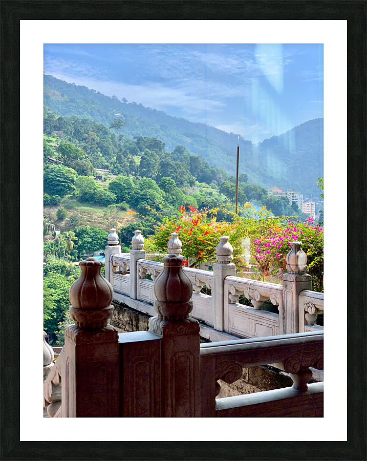 Beautiful Flowers on the Balcony with a View Picture Frame print