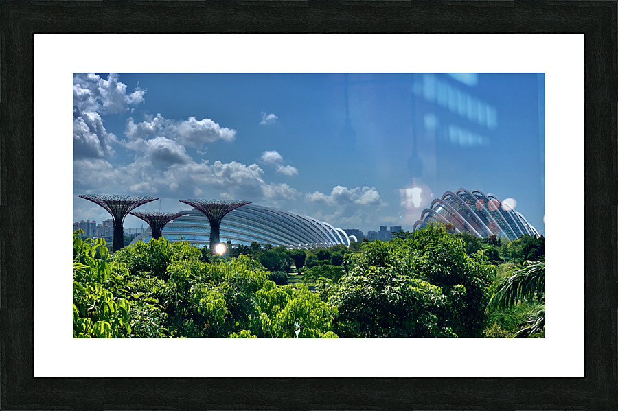 Gardens by the Bay Singapore 1 Picture Frame print