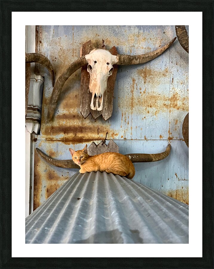 A Cat with Horns Picture Frame print