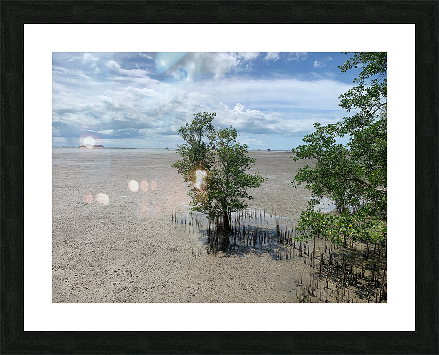 Lonely Tree 3 Picture Frame print