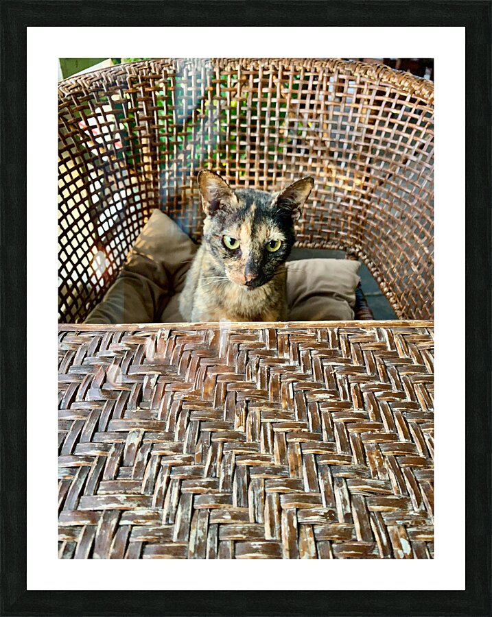 Dating a Cat Picture Frame print