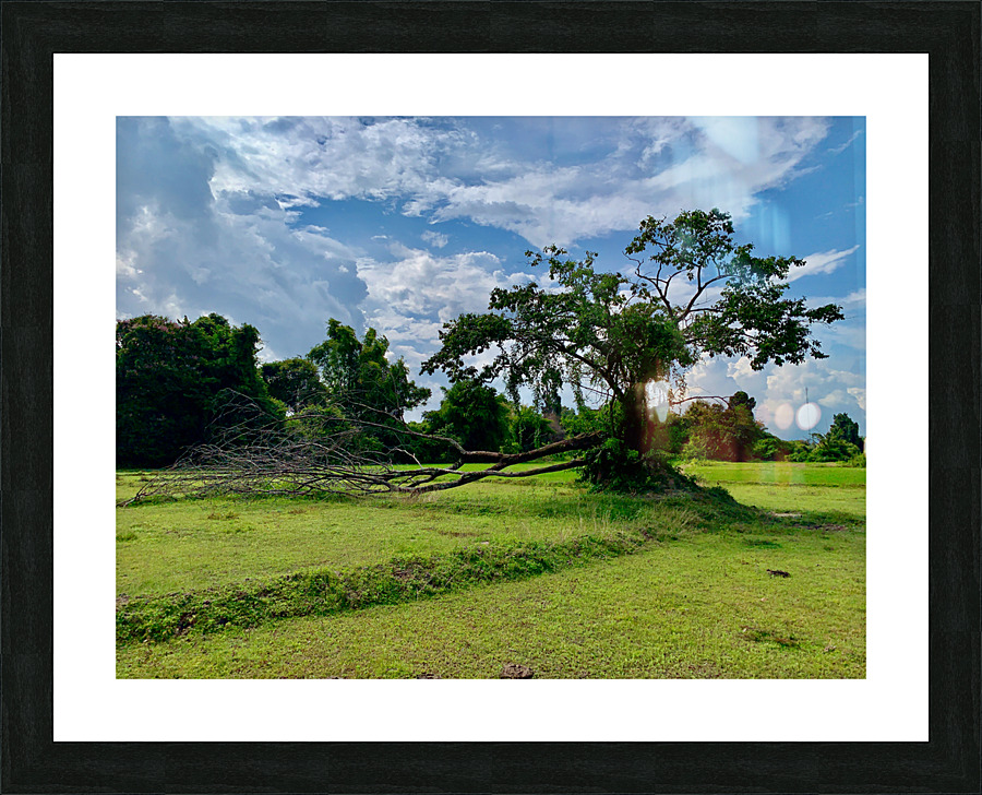 Life  and Death Picture Frame print