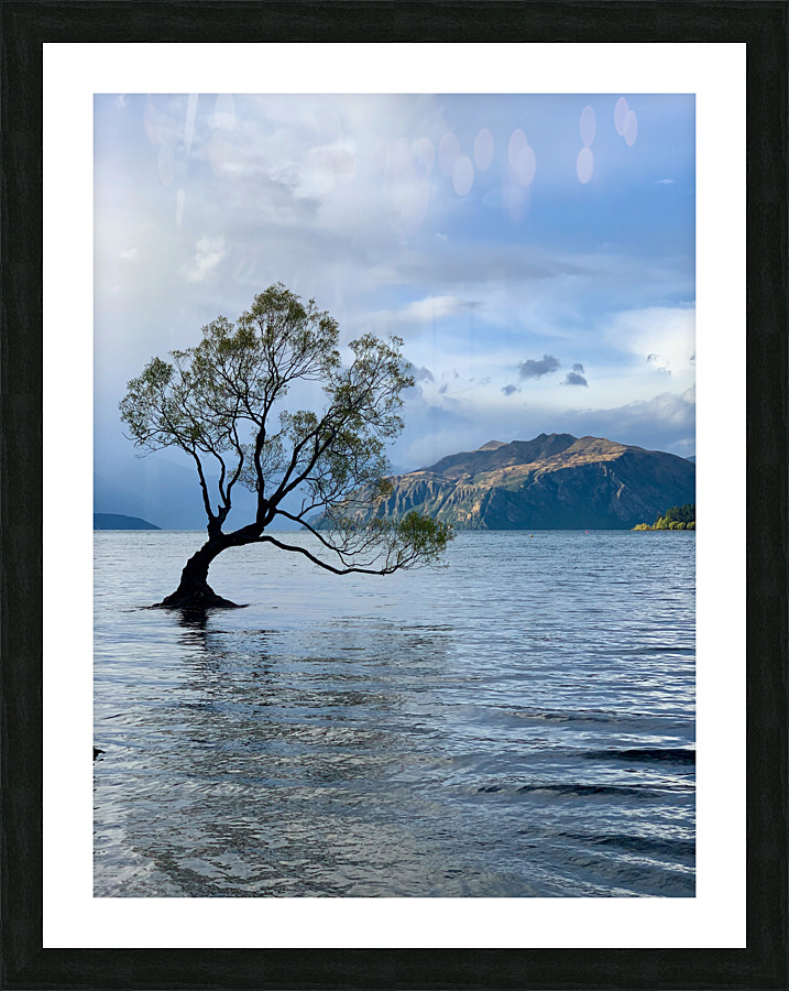 The Wanaka Tree New Zealand 2 Picture Frame print