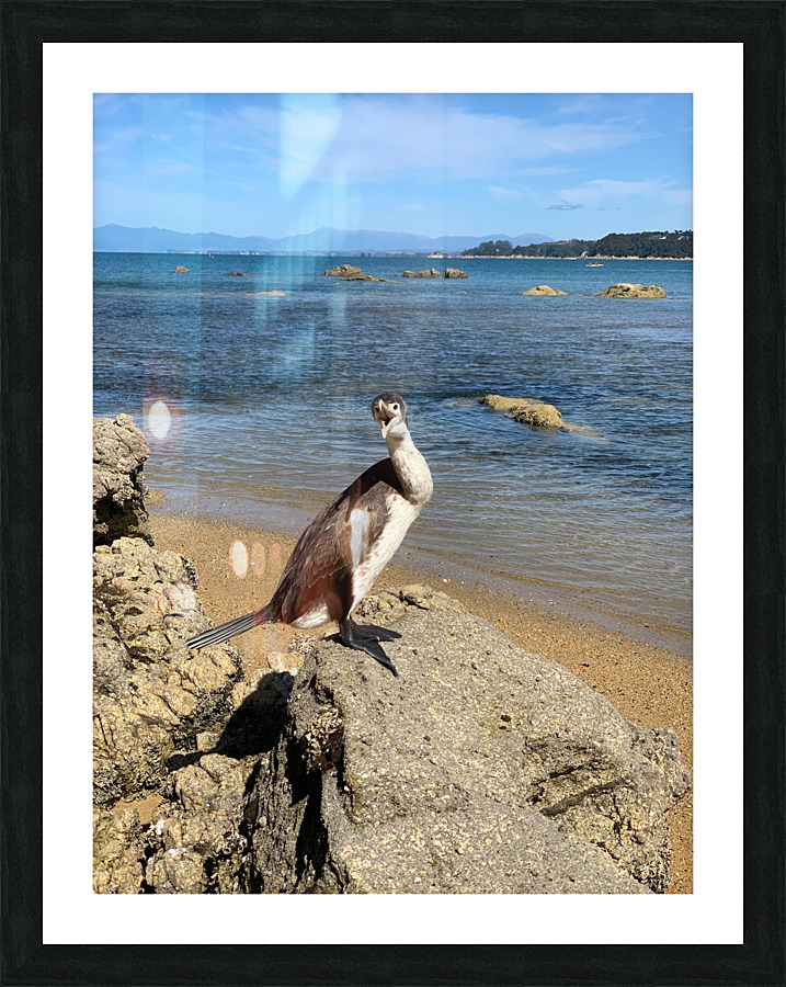 Angry Bird Impression et Cadre photo