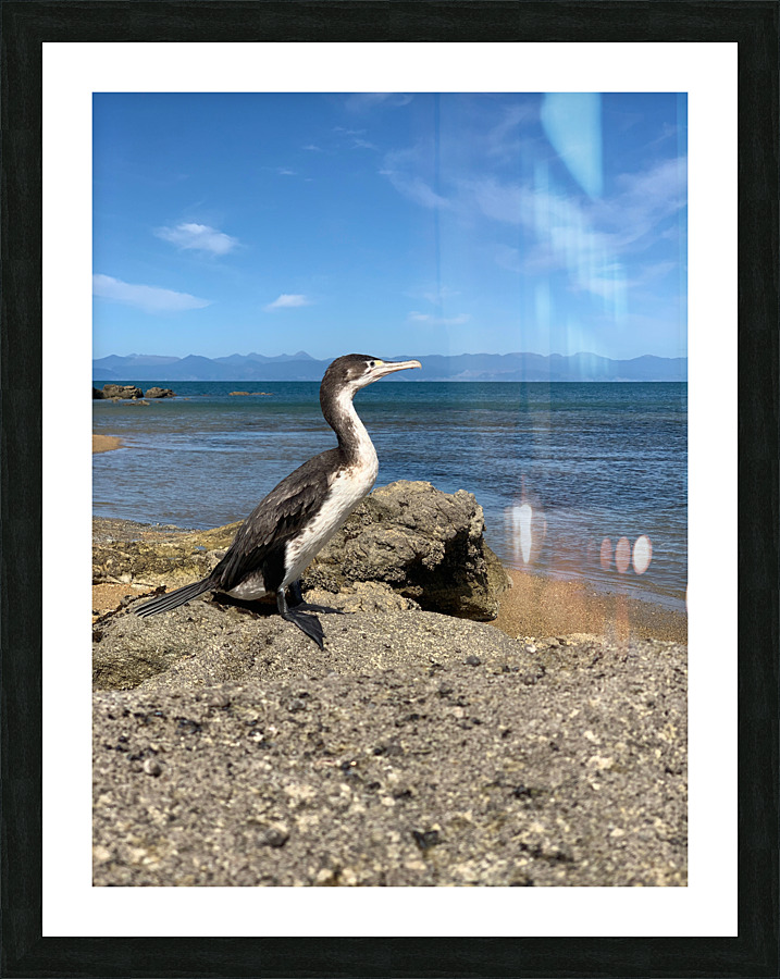 Bird Looking Straight Ahead Picture Frame print