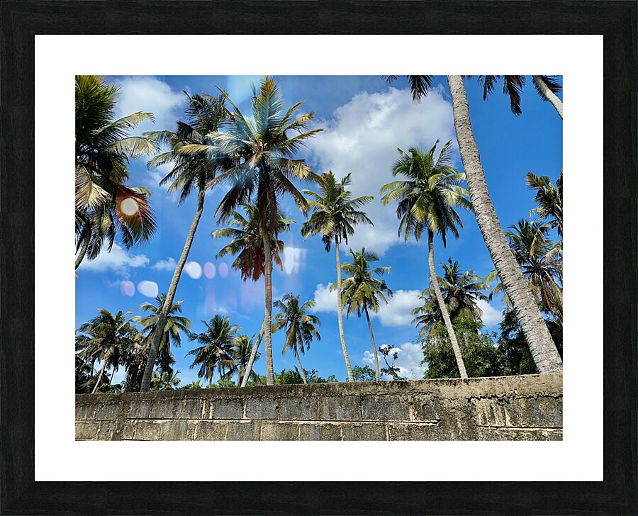 Palm Trees behind the Wall Picture Frame print