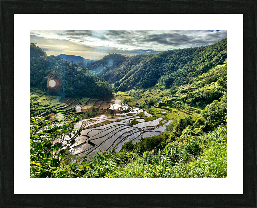 Nice Watery Rice Fields Picture Frame print