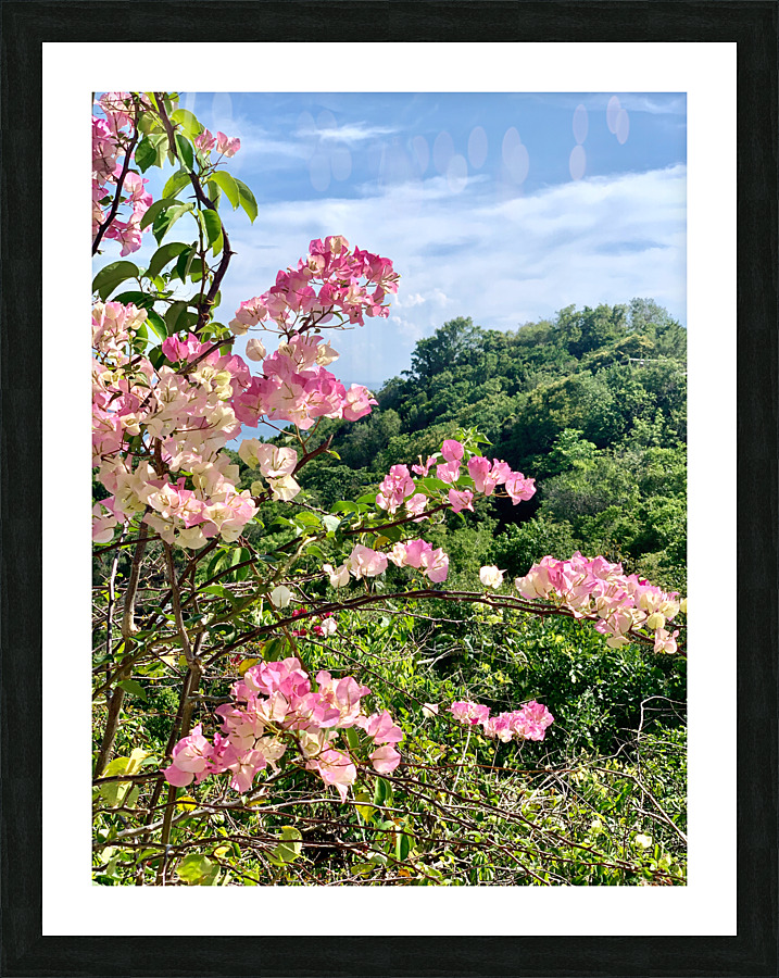 Pretty Pink Flowers Picture Frame print