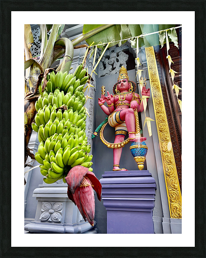 Bananas Offering Picture Frame print