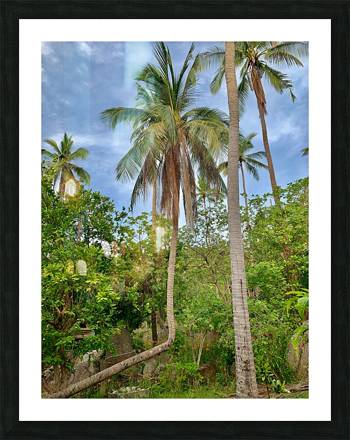 L Palm Tree Picture Frame print