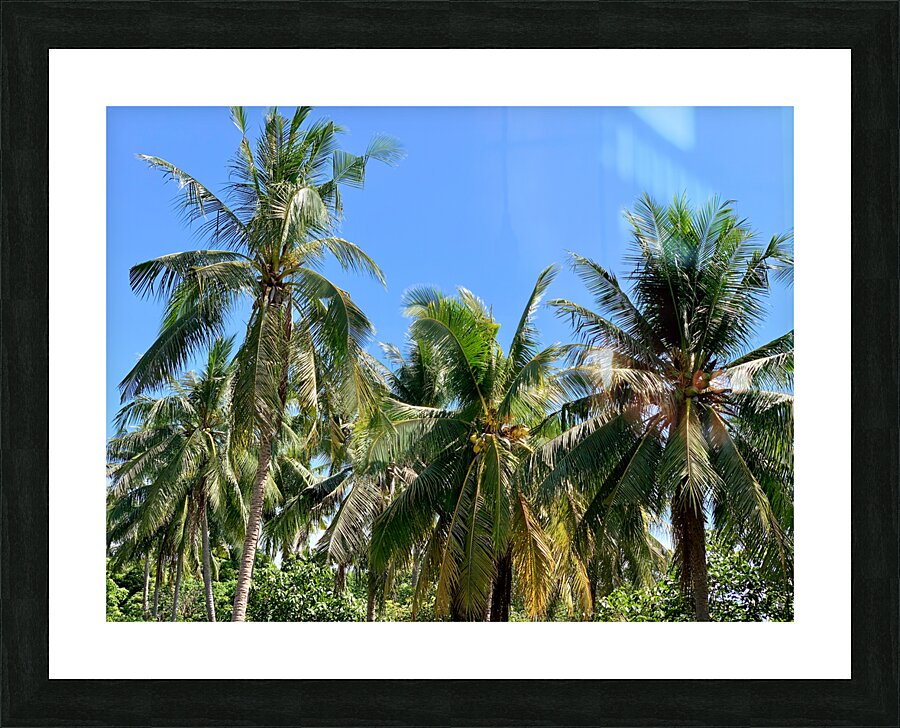 Palm Trees 2 Picture Frame print