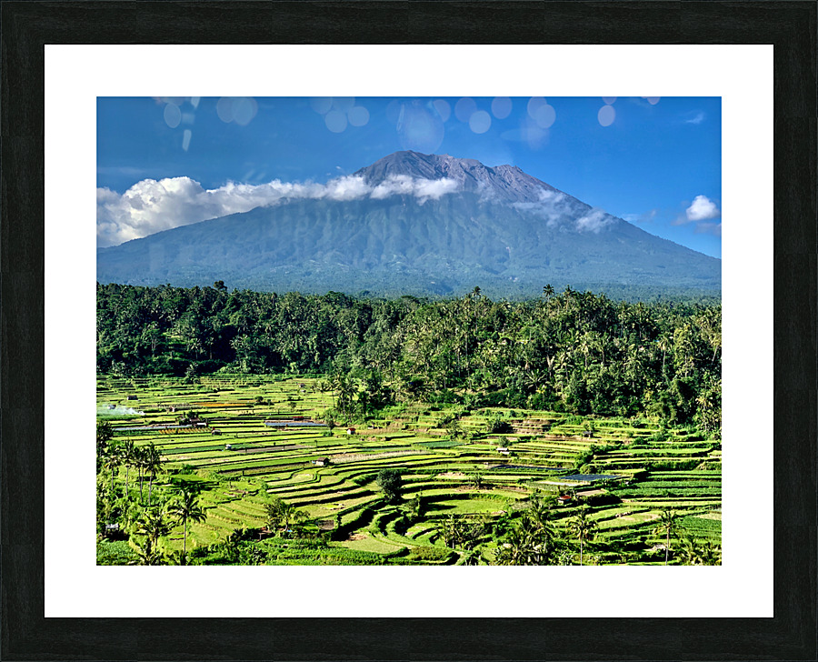 Mount Agung with Rice Fields Bali Picture Frame print
