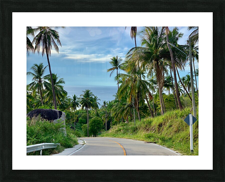 Palm Tree Road Picture Frame print