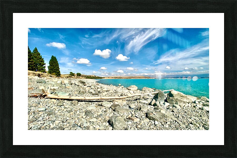 Dead Wood in Front of the Lake Picture Frame print
