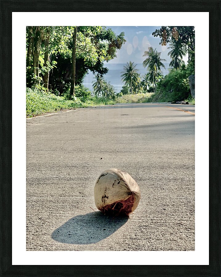 Coconut Shadow Picture Frame print