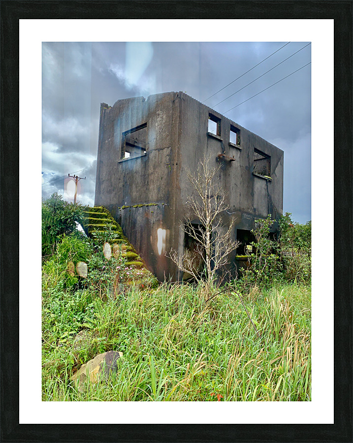Abandonned House in Bokor Cambodia Picture Frame print