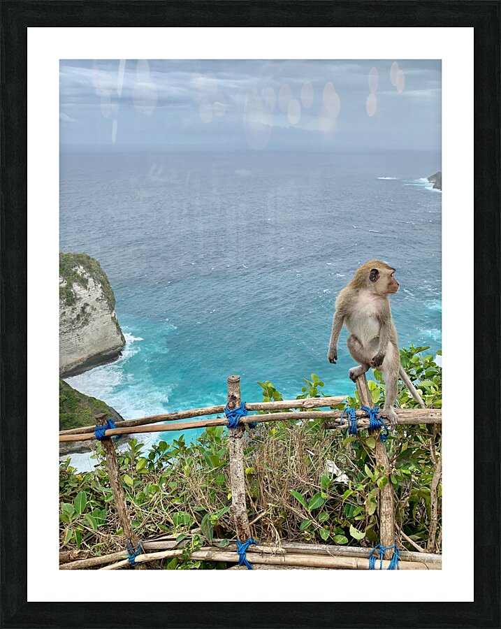 Last Monkey Standing Picture Frame print