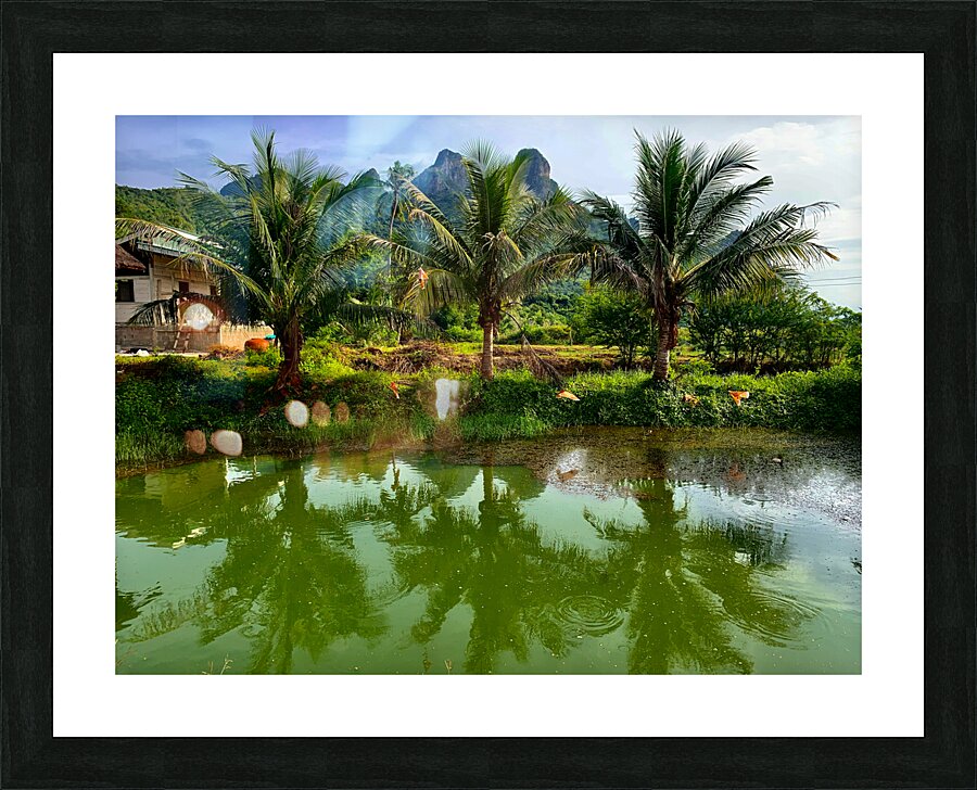 Palm Tree Trio Reflections Picture Frame print