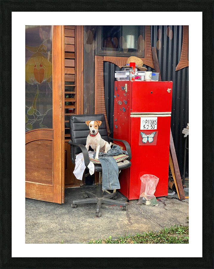 The Red Fridge and the Dog 2 Picture Frame print