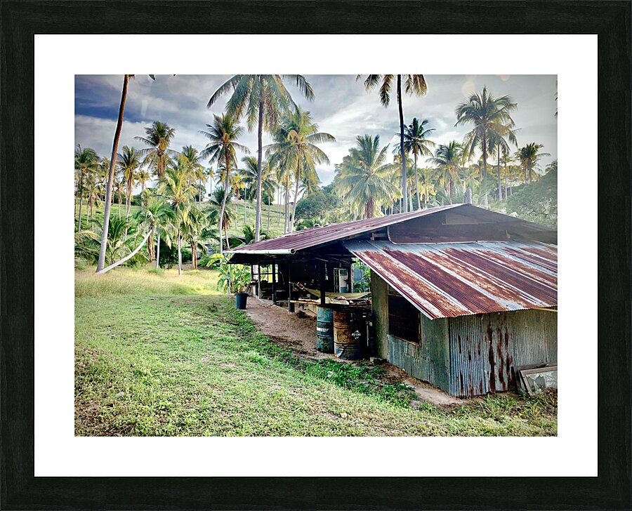Big Rusty Shack Coconut Picture Frame print